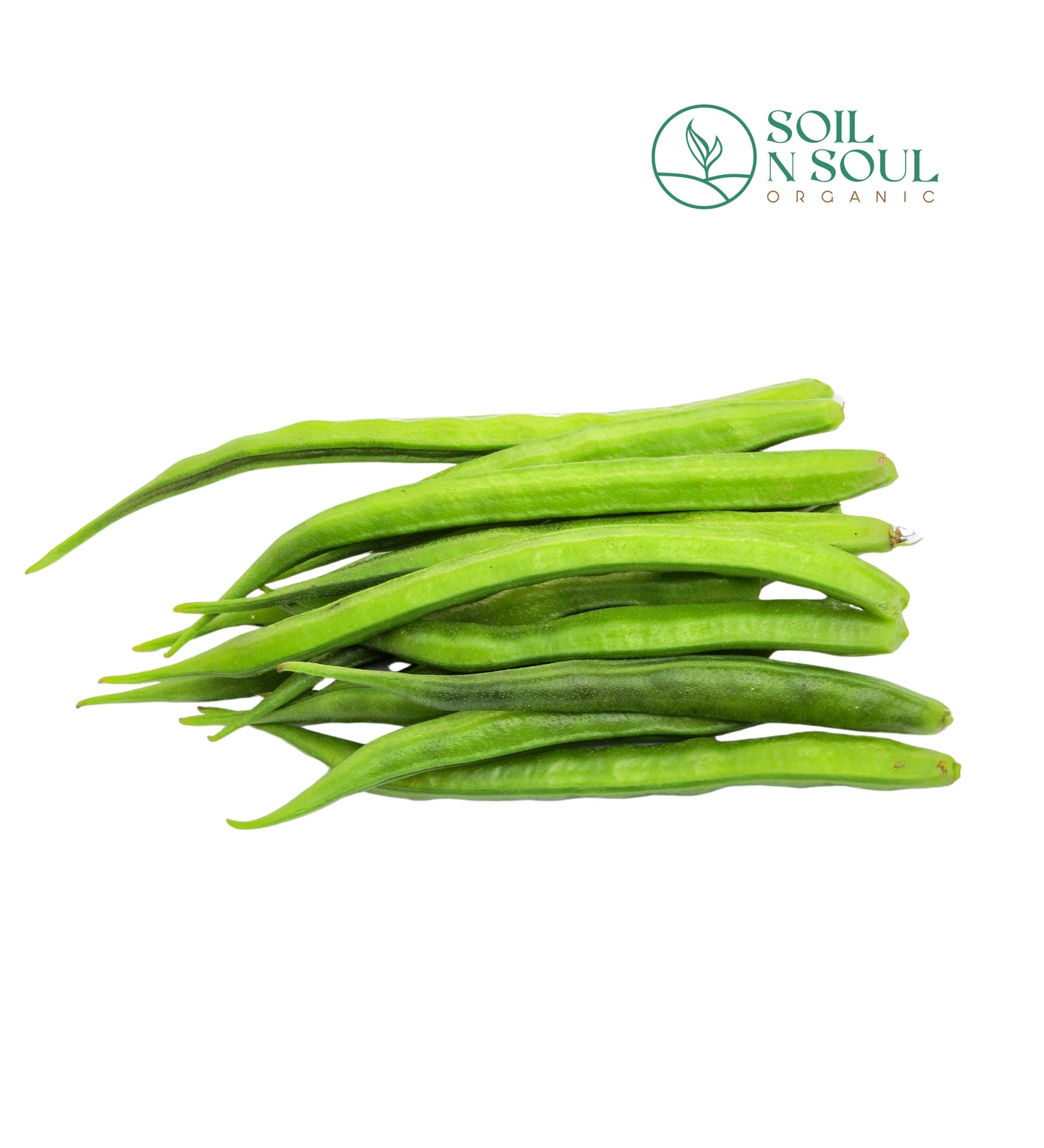 Beans Cluster