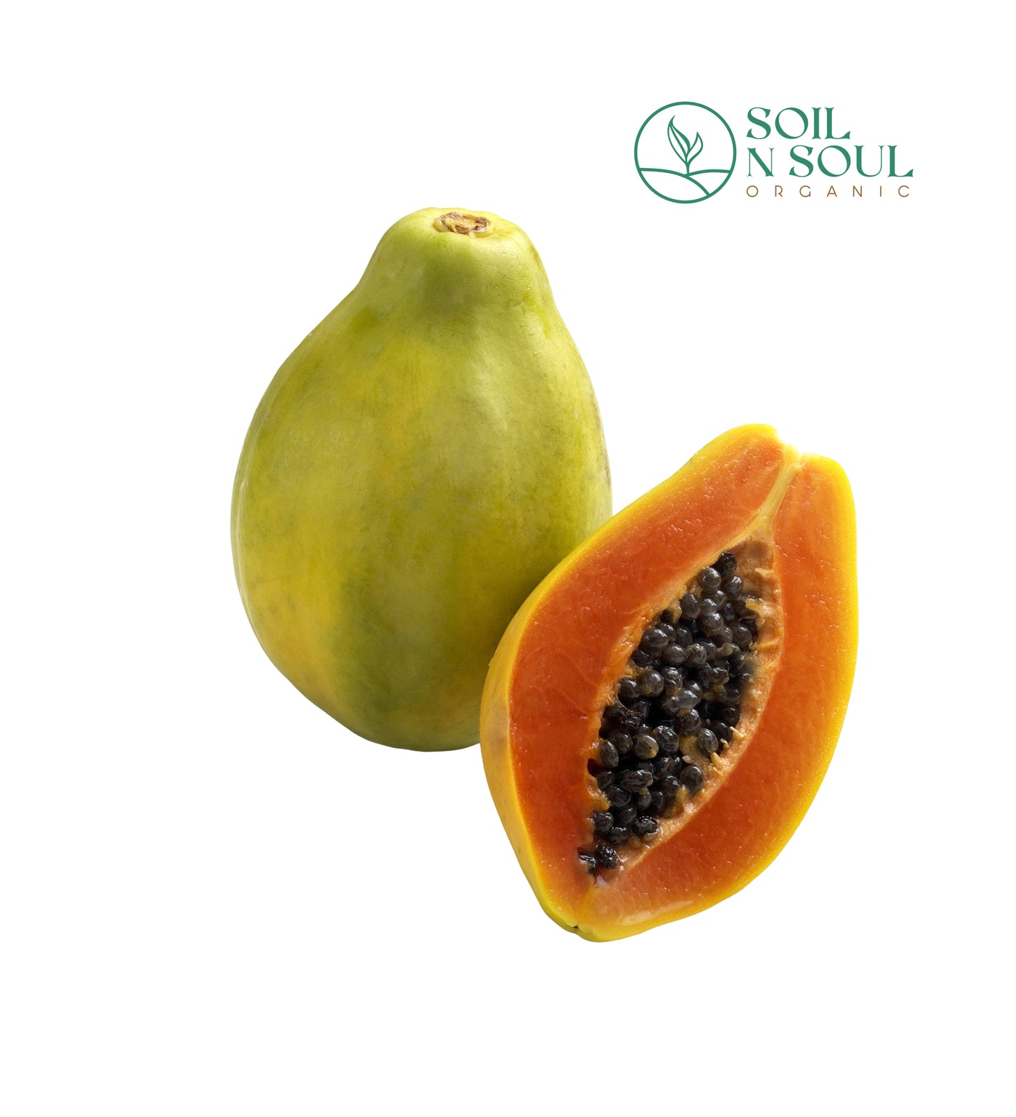 Red Lady Papaya