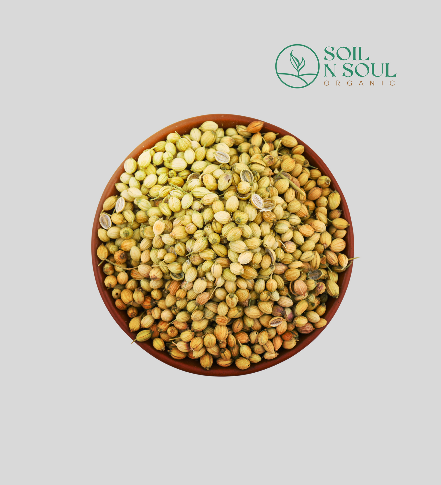 Coriander Seeds
