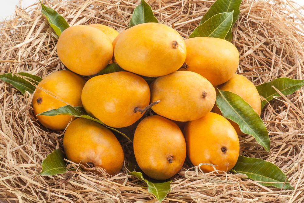 Mangoes