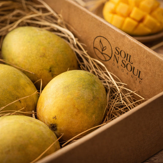 Alphonso Mangoes- 6 Pcs