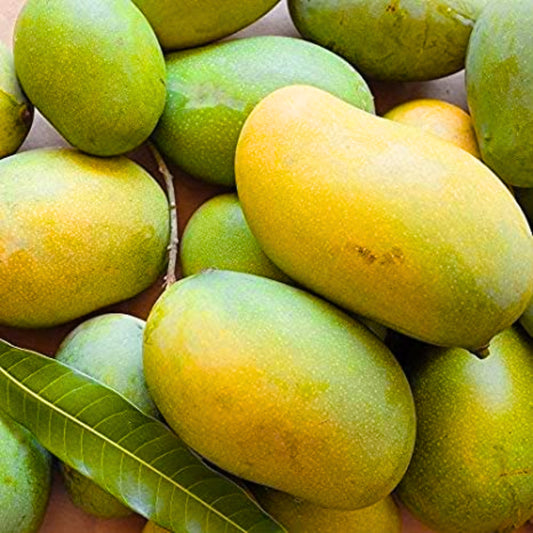 Premium Mallika Mango