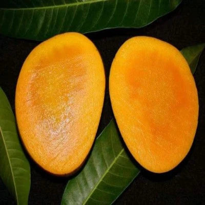 Premium Himsagar Mango