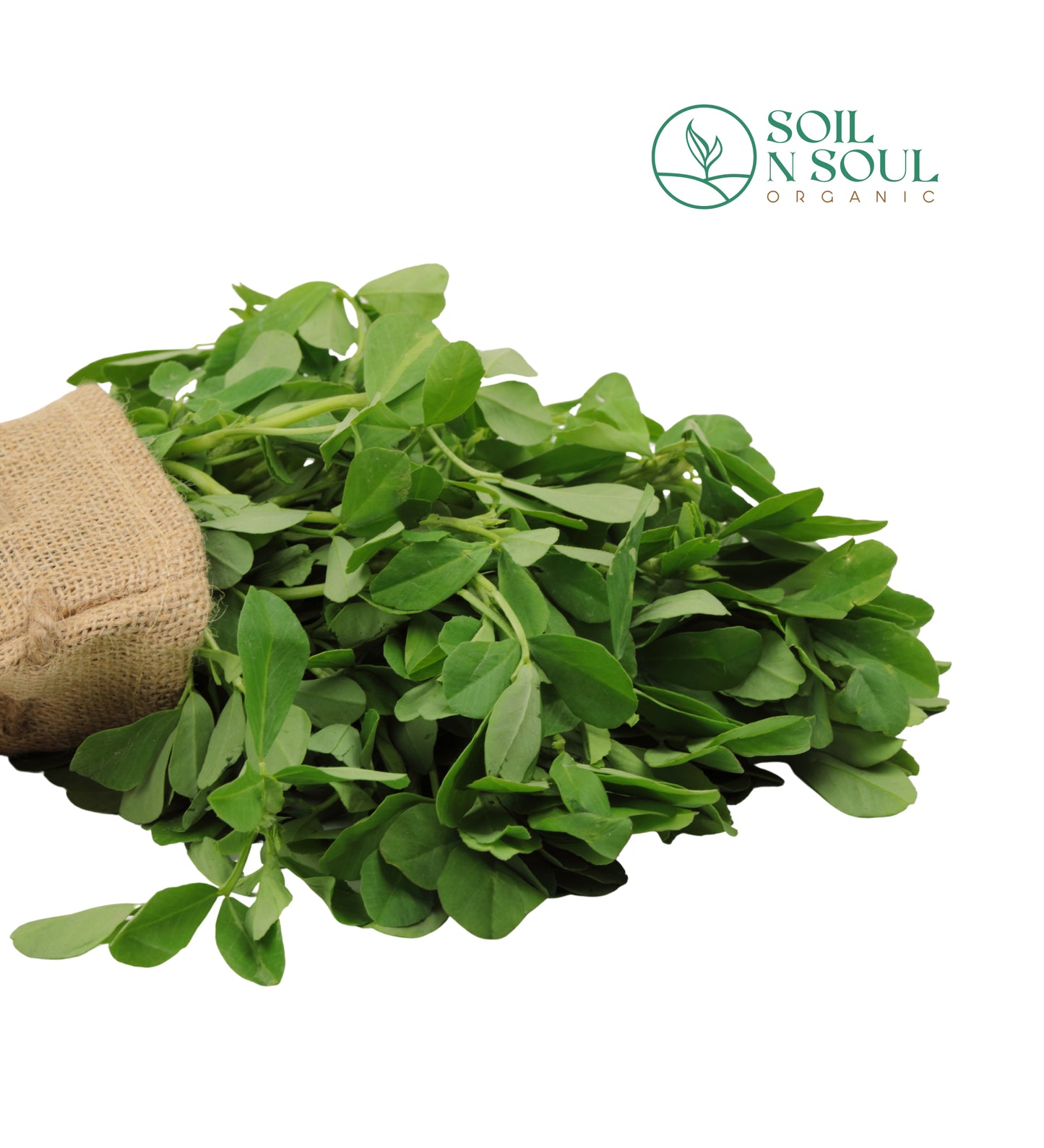 Methi (Fenugreek Leaves)