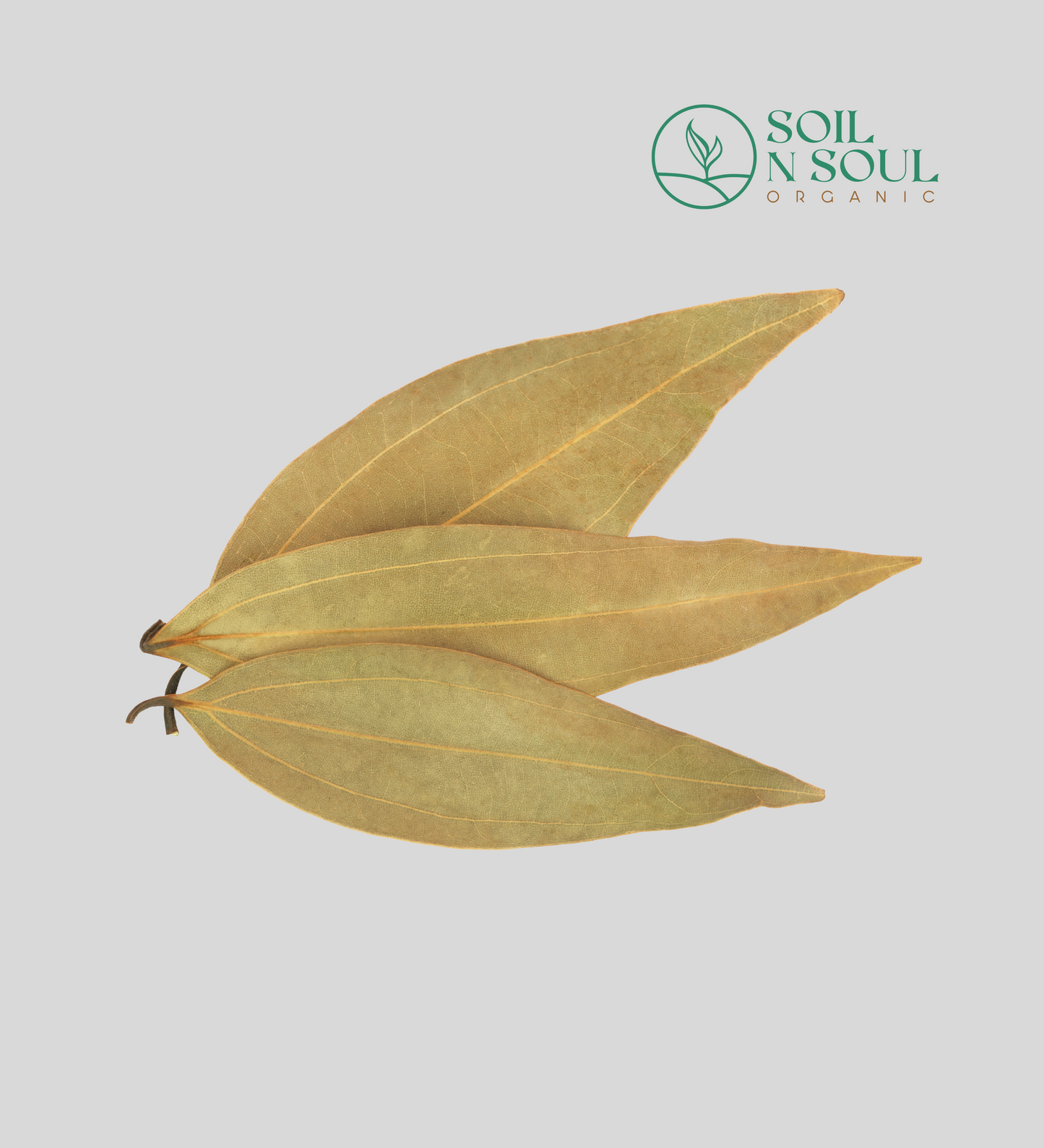 Bay Leaf