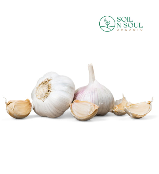 Garlic